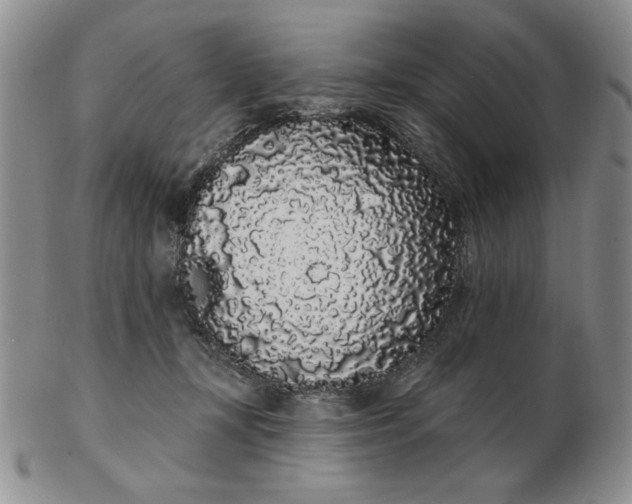 X0000103150367200809051642