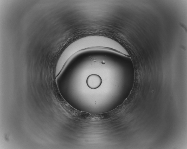 X0000103150368200809051642