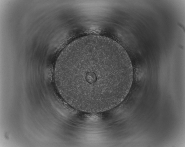 X0000103150370200809051642