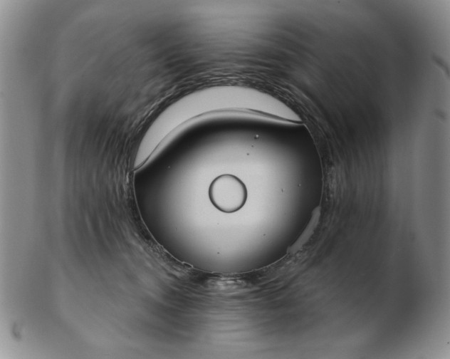 X0000103150372200809051642