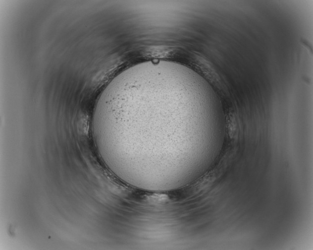 X0000103150374200809051642