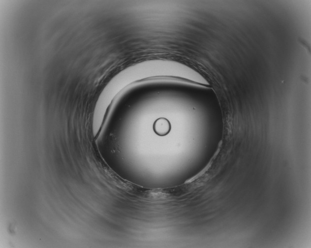 X0000103150376200809051643