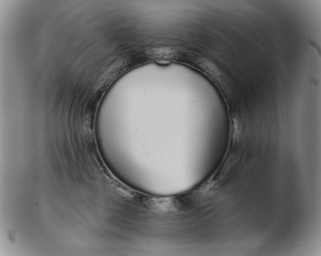 X0000103150377200809051643