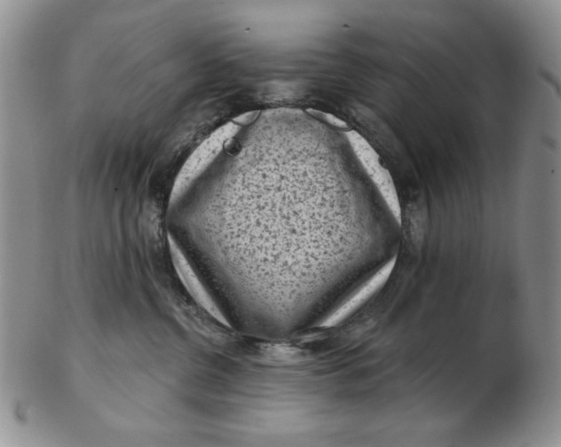 X0000103150380200809051643