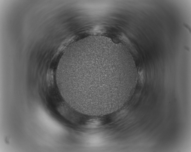 X0000103150381200809051643