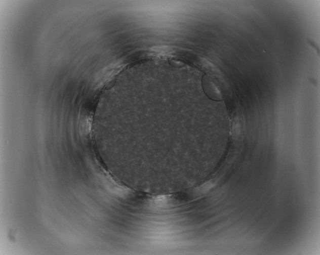 X0000103150382200809051643