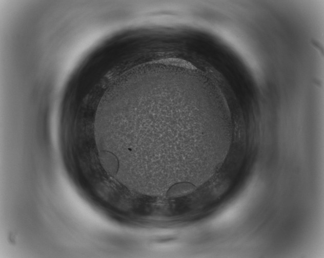 X0000103150383200809051643