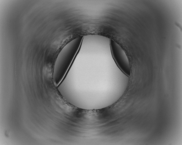 X0000103150384200809051643