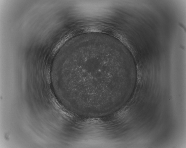 X0000103150386200809051642