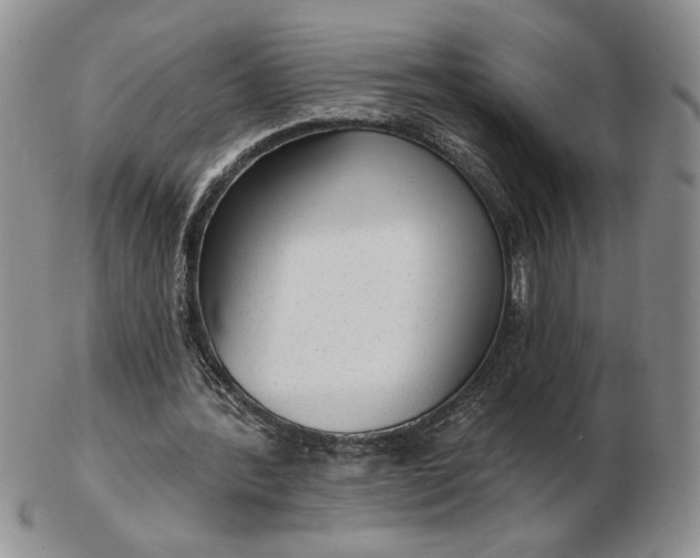 X0000103150388200809051642