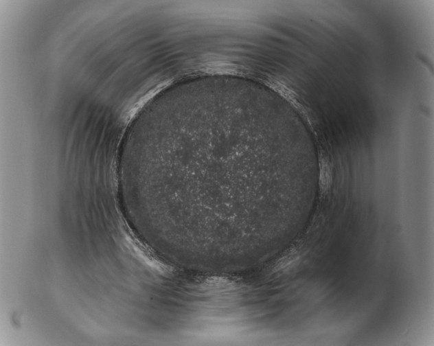 X0000103150390200809051642