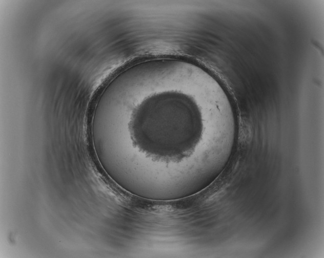 X0000103150391200809051642