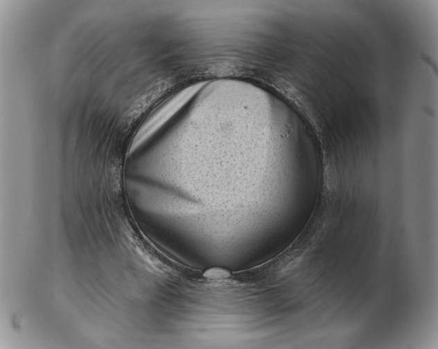 X0000103150393200809051642