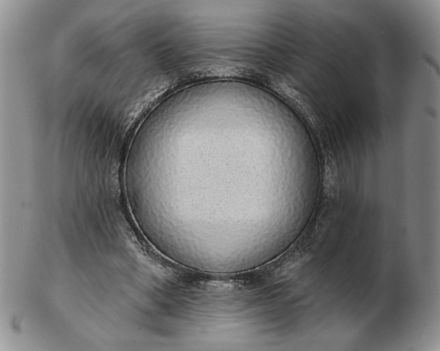 X0000103150394200809051642