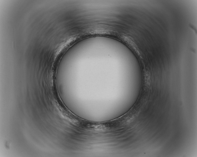 X0000103150395200809051642