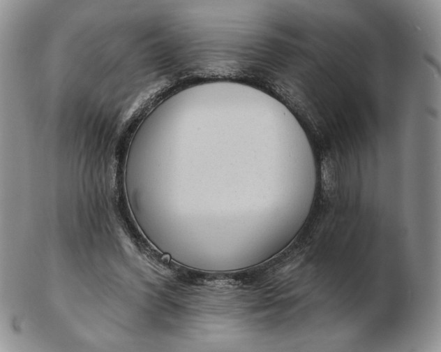 X0000103150396200809051642