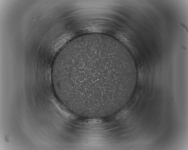 X0000103150398200809051642