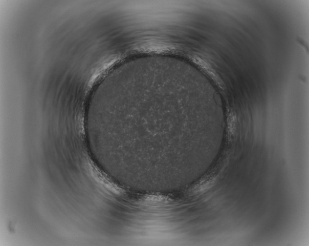 X0000103150399200809051642