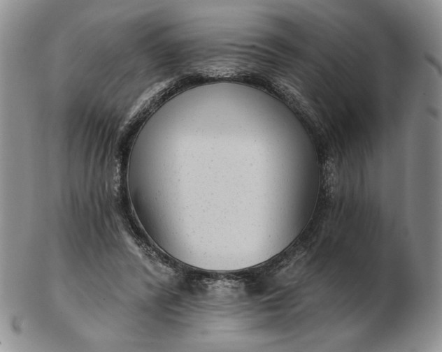 X0000103150400200809051642