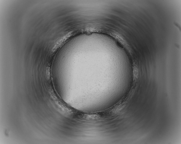 X0000103150401200809051642