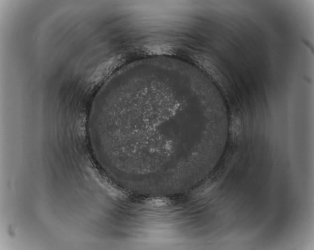 X0000103150402200809051642