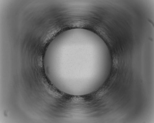 X0000103150403200809051642