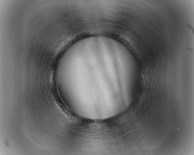 X0000103150404200809051642