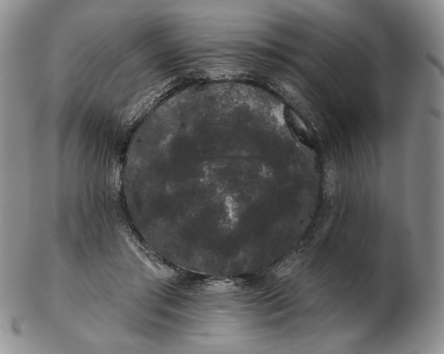 X0000103150405200809051642