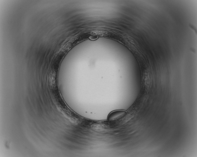 X0000103150408200809051642