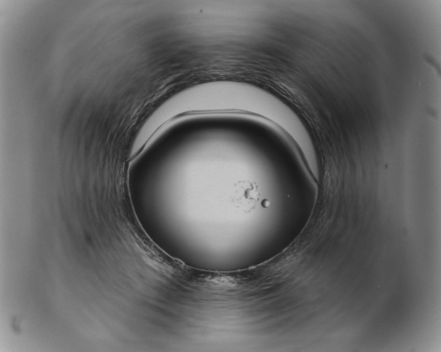 X0000103150409200809051642