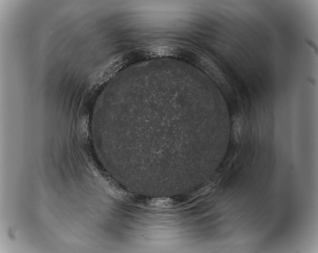 X0000103150410200809051642