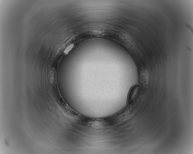 X0000103150412200809051642