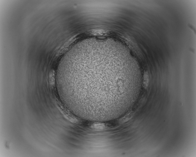 X0000103150413200809051642