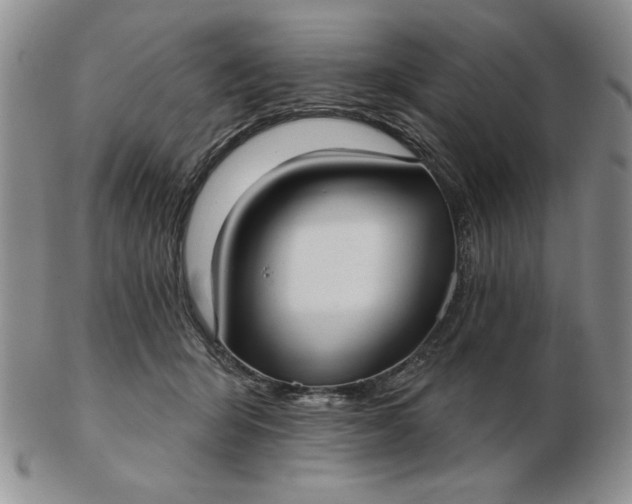 X0000103150415200809051642