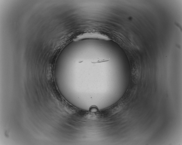 X0000103150416200809051642