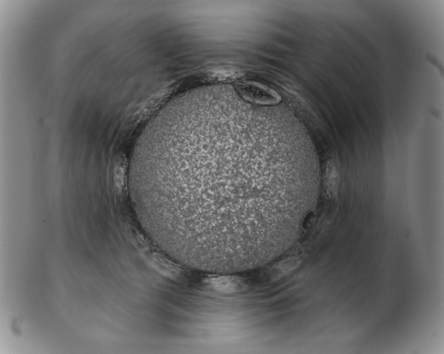 X0000103150417200809051641