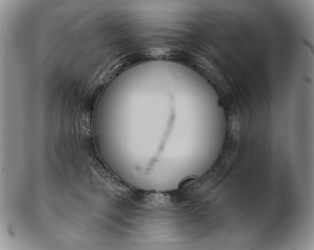 X0000103150421200809051641