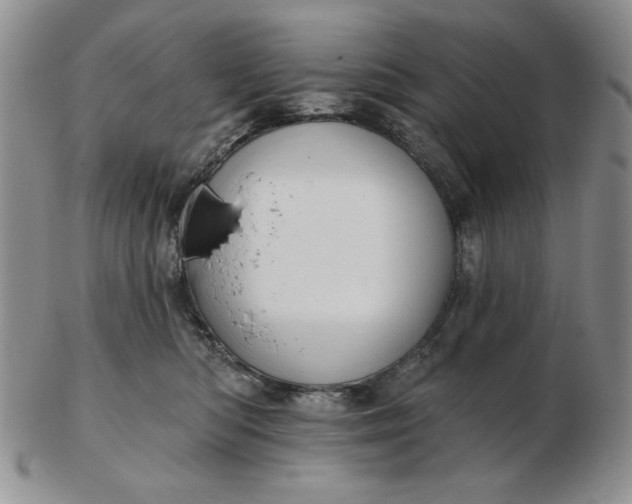 X0000103150422200809051641