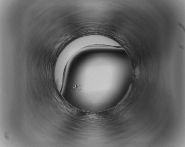 X0000103150423200809051641