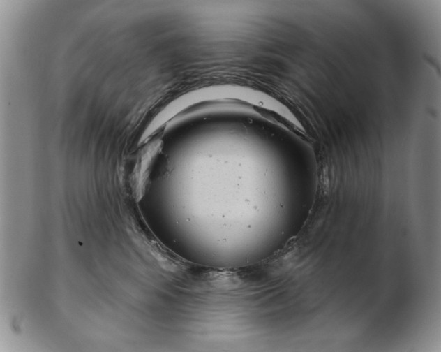 X0000103150424200809051641