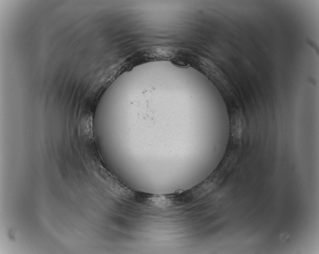 X0000103150425200809051641