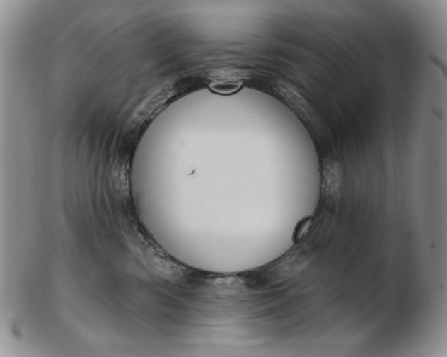 X0000103150426200809051641