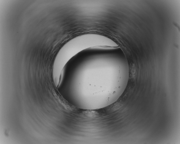 X0000103150427200809051641