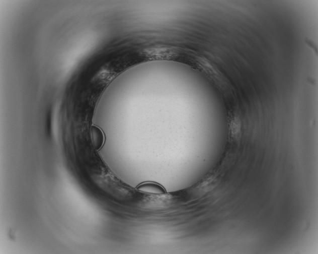 X0000103150429200809051641