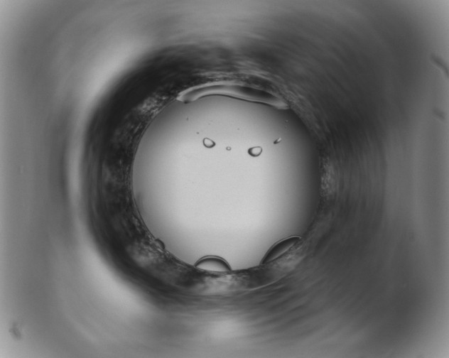 X0000103150430200809051641