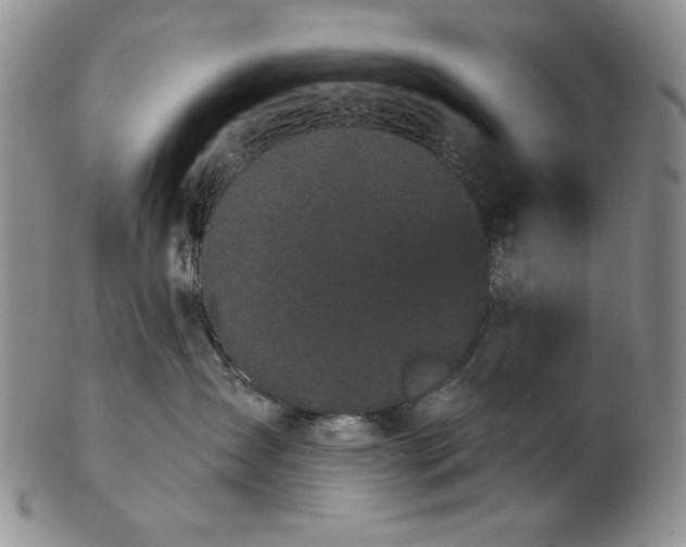 X0000103150431200809051641