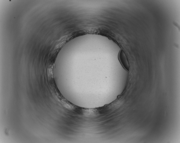 X0000103150432200809051641