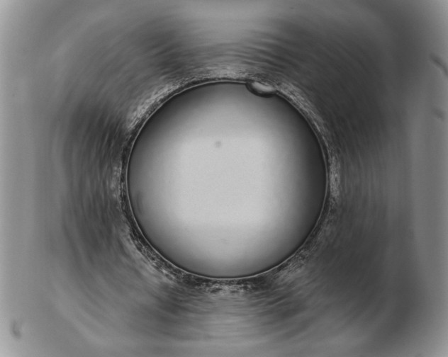 X0000103150434200809051640