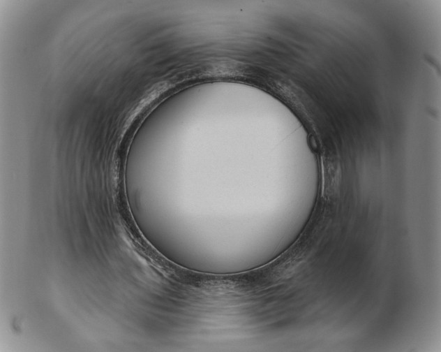 X0000103150435200809051640