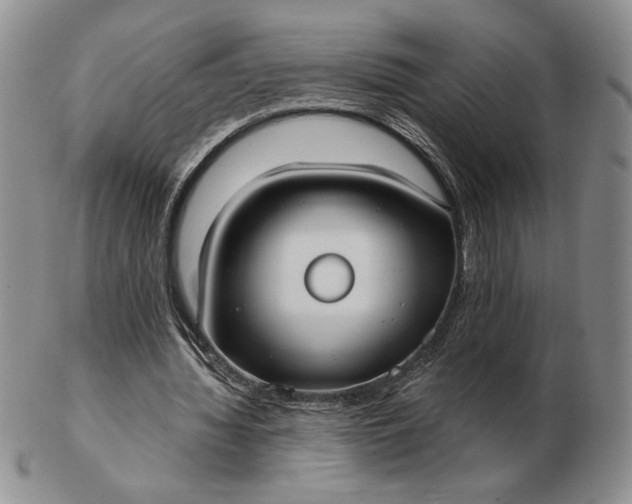 X0000103150436200809051640